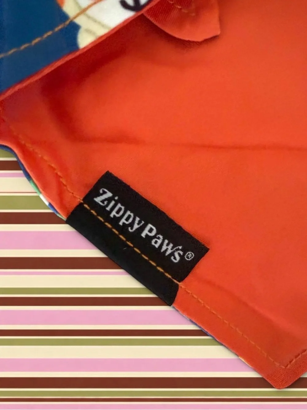 Zippy Paws Bandana for Dogs Line Friends Bear Brown's Space Odyssey